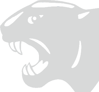 Vartiointipalvelu logo